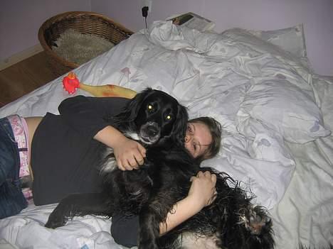 Blanding af racer sisse - hov det må vi ikk men det er da hyggeligt........... billede 11