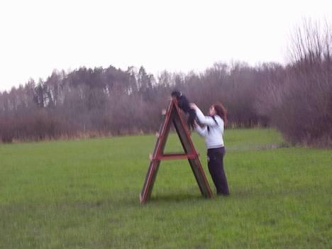 Blanding af racer fnis  - og så det store.. ps ved godt de ikk er så skarbe .. billede 7