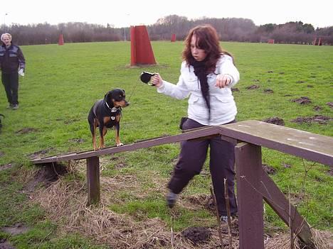 Blanding af racer fnis  - og så tager vi broen billede 9