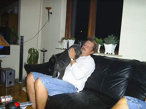 Shar pei Lupus - Kom nu, gi et knus far. billede 19