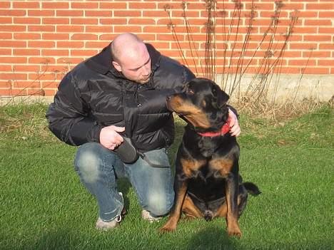 Rottweiler tyson billede 8