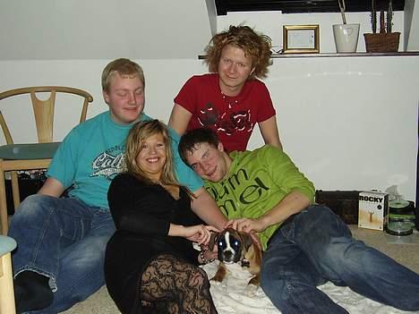 Boxer Zippo ( The Roligans) billede 5