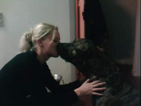 Fila brasileiro Boss - Et dejligt lille nys til mor:-) billede 14