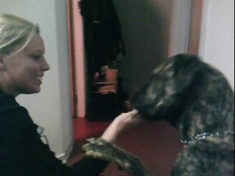 Fila brasileiro Boss - Må jeg få den kiks?? billede 15