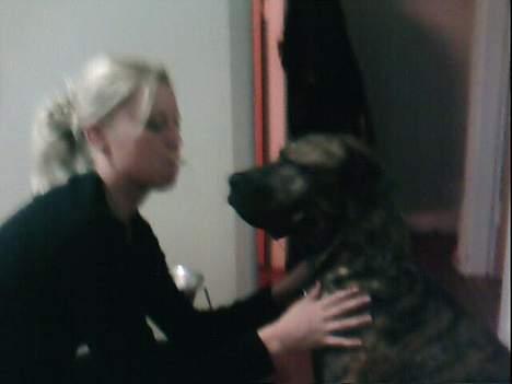 Fila brasileiro Boss - Hvad skal jeg nu "mor":-) billede 16