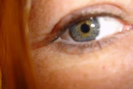 Blanding af racer Bea billede 8