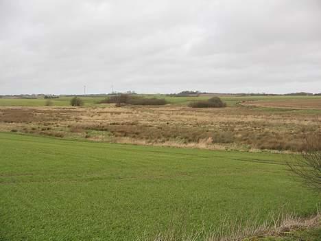 Dogue de bordeaux Desteny - Vores omgivelser billede 14