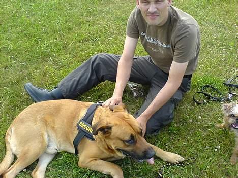 Broholmer CHANG billede 6