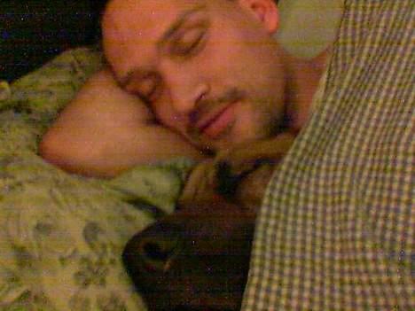 Broholmer CHANG - jeg liggger og passer på far! billede 9