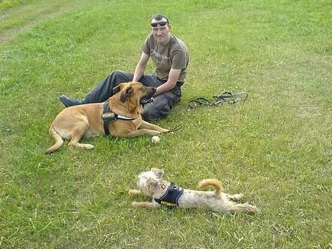 Broholmer CHANG billede 14