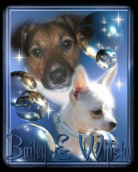 Blanding af racer whisky billede 15