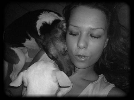 Blanding af racer whisky billede 18