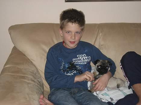 Mops Elvis - Her er min fætter Tobias..-han er bare sjov at lege med.. billede 17