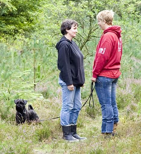 Dvaergschnauzer Sváva's Bioccolo - Tarzan - Billede fra kontaksituationen under tarzans mentaltest, han ville squtte snakke med den der fremmede dame:-) billede 16