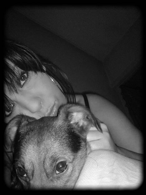 Blanding af racer whisky billede 19