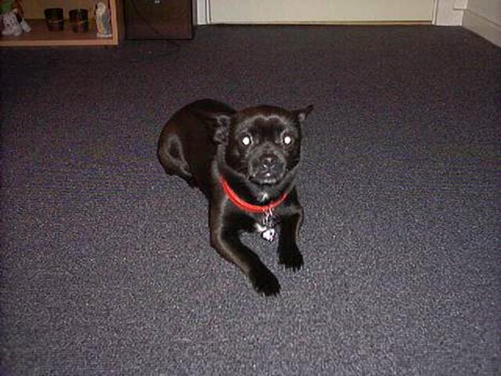 {{currentPhoto.altText}} billede {{currentPhoto.number}}