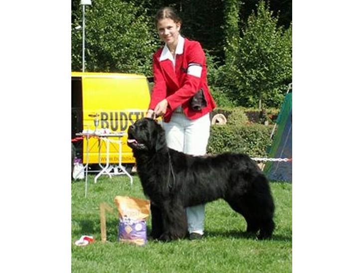 {{currentPhoto.altText}} billede {{currentPhoto.number}}