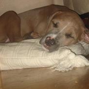 Blanding af racer Malou