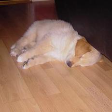 Blanding af racer Luffe