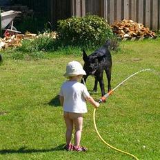 Blanding af racer Otto