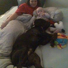 Blanding af racer Tyson