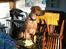 Rhodesian ridgeback Enya - febuar-07 1år og 7 mån. gammel