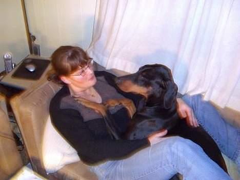Dobermann Dina (22/02/98-24/09-07) - Dina og Ann hygger i sofaen med en god film billede 10