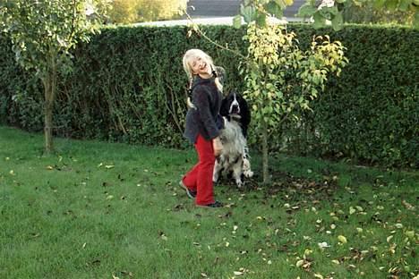 Engelsk springer spaniel Mirocchi (Louis) - Gået bort - Ejjjjj, Louis. Vi blev opdaget<3 (; haha. (længe siden) billede 18