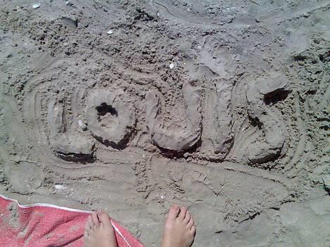 Blanding af racer Louis billede 17