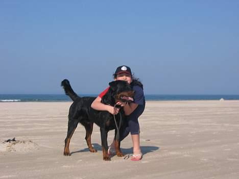 Rottweiler Idor billede 14
