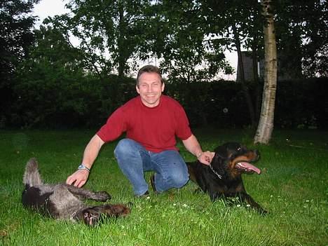 Rottweiler Idor billede 15