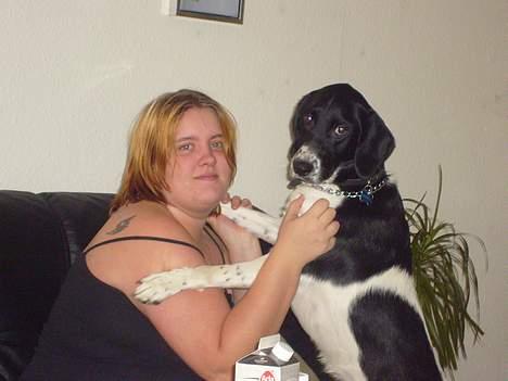 Blanding af racer Qato billede 18