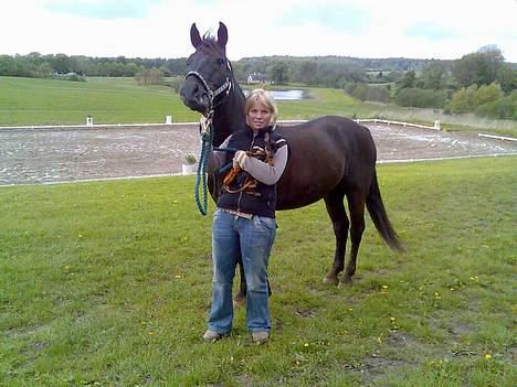 Dvaergpinscher Armani - Her er jeg sammen med min mor og meget store storebror :) billede 11