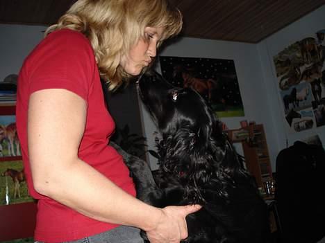 Blanding af racer Titti - Moar og Titti :D Tag jer ikk af moar men Titti .. ;P Foto: Mig billede 16