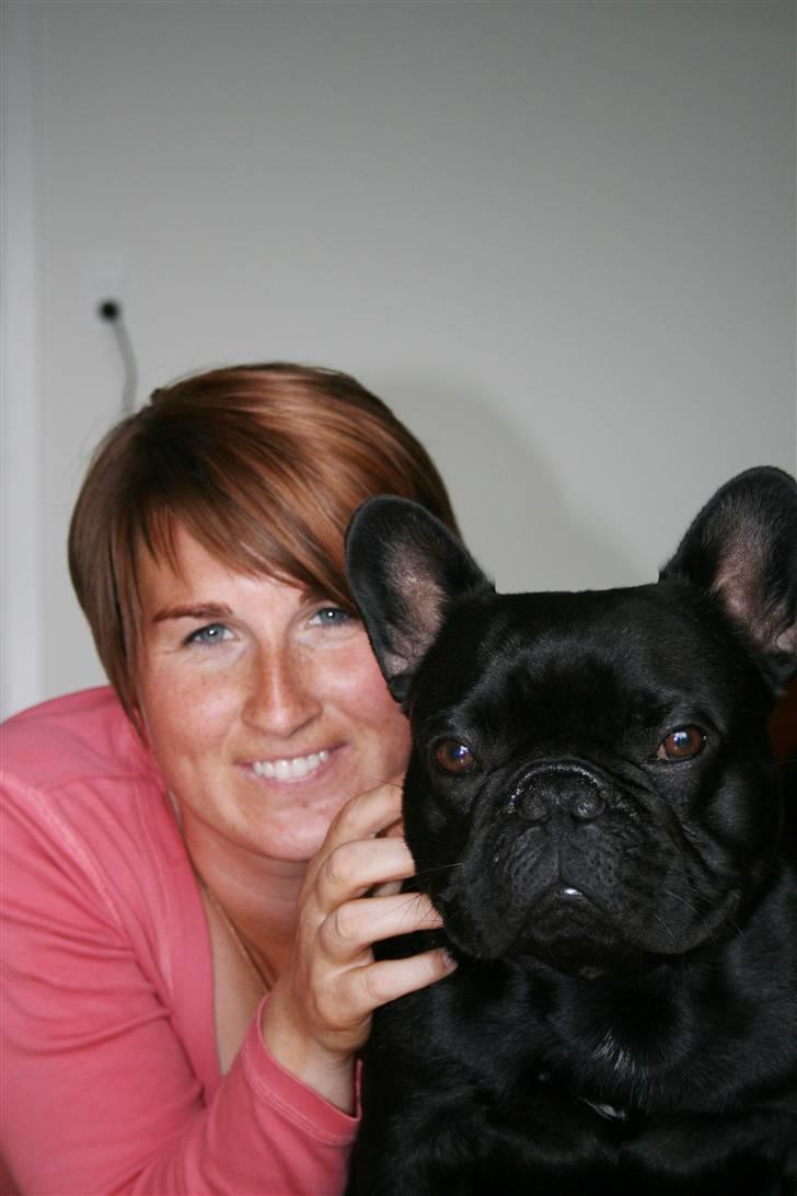 Fransk bulldog Adonis Kinibox [LOTUS] -  - Moarrr og Mig  billede 4