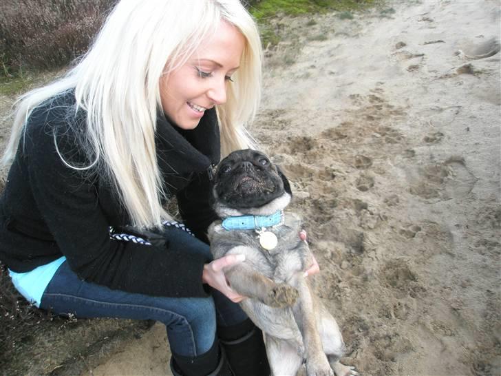 Blanding af racer Louis billede 18