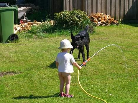 Blanding af racer Otto - Otto og Leah har vandkamp billede 2