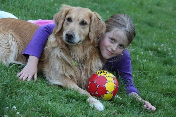 Golden retriever Gismo - 25/7 2010 .. Gismo og min kusine Caroline :) billede 2