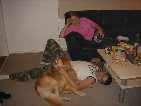 Golden retriever Gismo - Her har Gismo besøg af sine venner Anders og Trine, som han er meget glad for :) billede 6