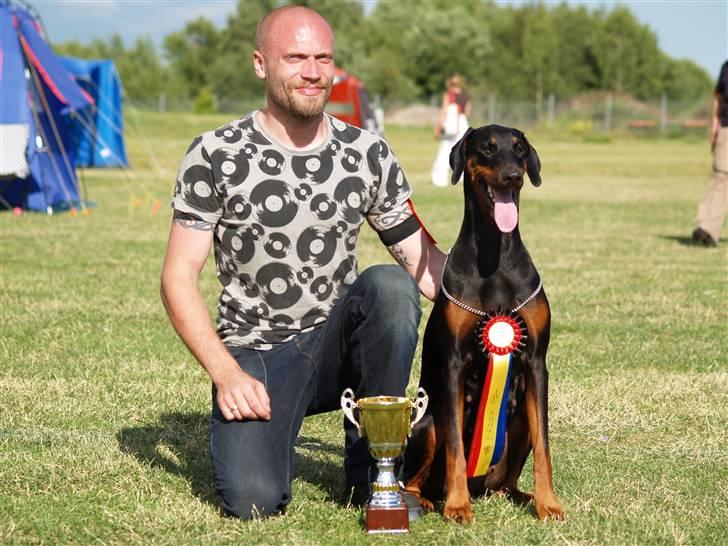 Dobermann Black BallerinaBelladonna - Internationalt Dobermann Championship 2008, Exc, 4. vinder. (Pic af Go On 4 Ever.) billede 1