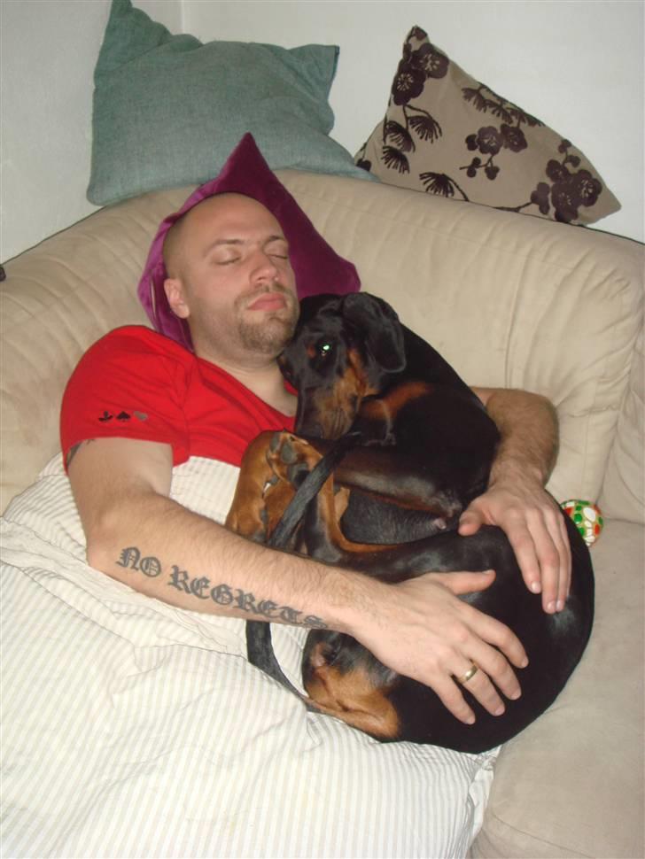 Dobermann Black BallerinaBelladonna - Far og mig hygger!! billede 9