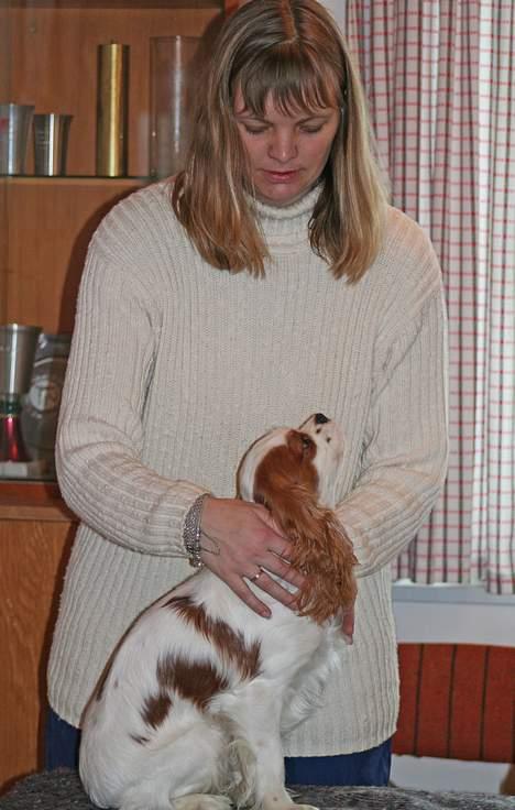 Cavalier king charles spaniel Simba - Fra mini kursus i hundemassage!                    11/2-07. billede 17