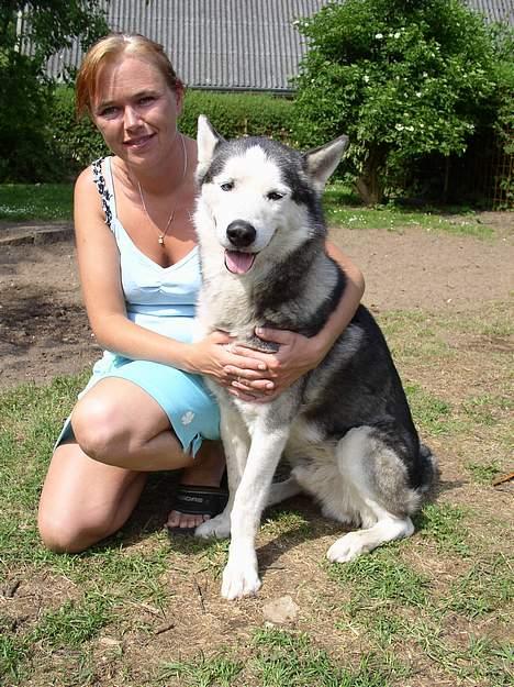 Siberian husky AKELA R.I.P. - her sider mor og akela sammen i havn billede 2