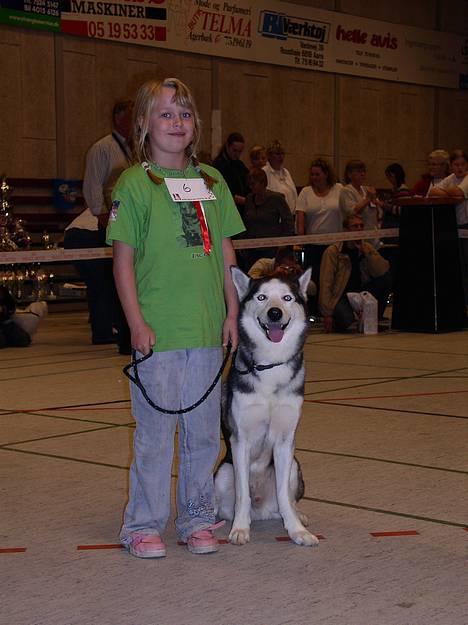Siberian husky AKELA R.I.P. - vi står og venter på at komme igan i barn og hund til hunde udstilling liselotte og akela billede 5