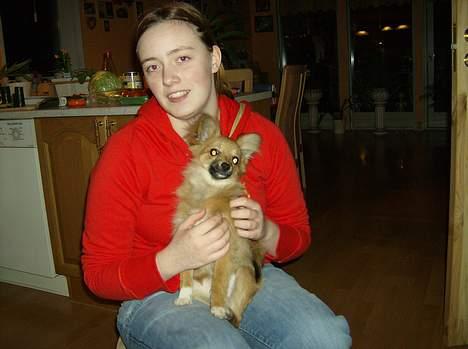 Blanding af racer Bjørn Mor/Svigermors HUND billede 7