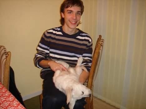 Golden retriever Alfa(Alpha) - 11.2.07.Alfa det lille nussehoved billede 13