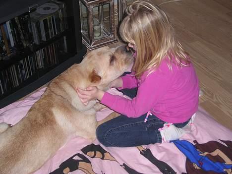 Shar pei Kendo - Skal vi nysse billede 10