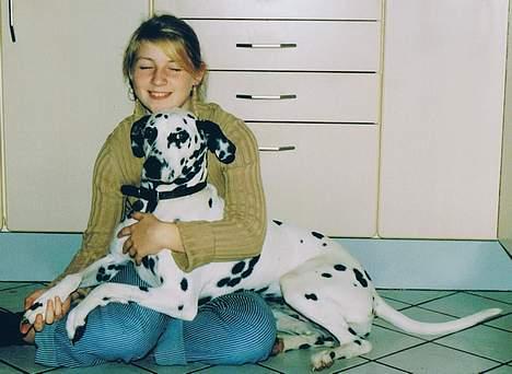 Dalmatiner Perle R.I.P. - Perle ser rigtig kær ud på det her billede..  men jeg kom til at kigge ned i gulvet så det ser ud som om jeg lukker øjnene.. billedet er nogle år gammel.. billede 9