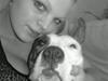 Amerikansk staffordshire terrier Molly