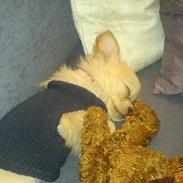 Blanding af racer Baby